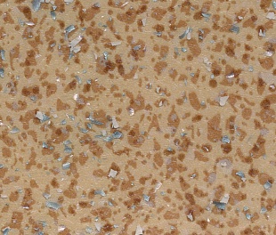 Линолеум Tarkett Acczent Mineral AS 100011 